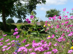 Lire la suite à propos de l’article Retraite tantrique d&rsquo;été