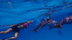 Lire la suite à propos de l’article Sensualité océanique – Plongez dans la présence